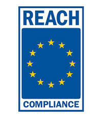 Reach-Logo